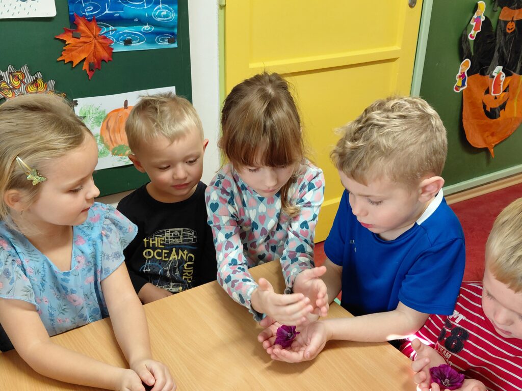 Pokus - Sléz šk.r.2025/2026